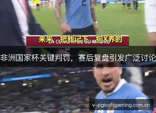 非洲国家杯关键判罚，赛后复盘引发广泛讨论